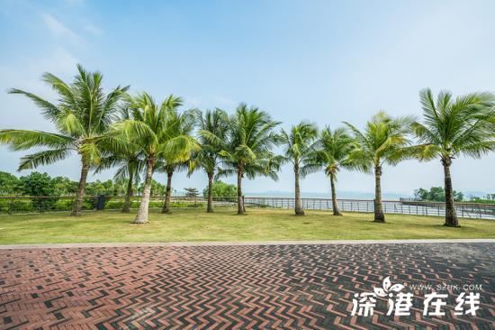 深圳湾公园好玩吗?都有哪些景点?深圳湾公园游玩指南?