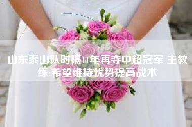 山东泰山队时隔11年再夺中超冠军 主教练:希望维持优势提高战术