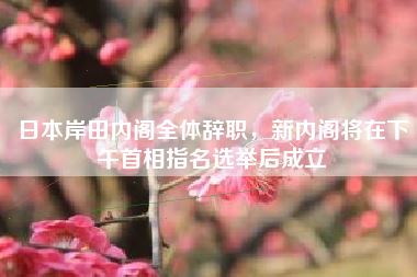 日本岸田内阁全体辞职，新内阁将在下午首相指名选举后成立