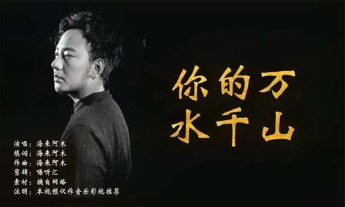 抖音我曾经等过你因为我也相信什么歌,海来阿木的歌太动听