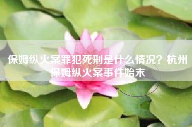 保姆纵火案罪犯死刑是什么情况?杭州保姆纵火案事件始末
