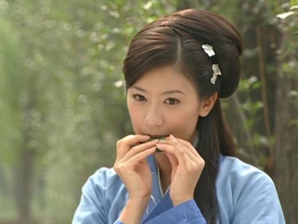 贾静雯个人资料简介及电视剧盘点