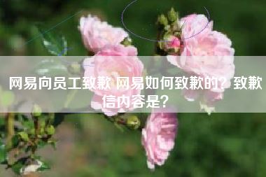 网易向员工致歉 网易如何致歉的?致歉信内容是?