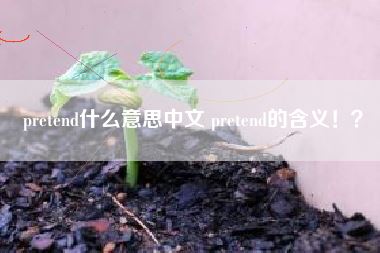 pretend什么意思中文 pretend的含义!?