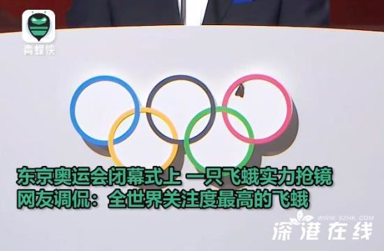 奥运五环上落了一只飞蛾 这是什么幺蛾子???