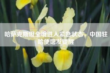 哈萨克斯坦全境进入紧急状态,中国驻哈使馆发提醒