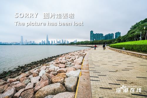 深圳好玩的地方推荐 深圳这些地方免费不知道就亏大了？