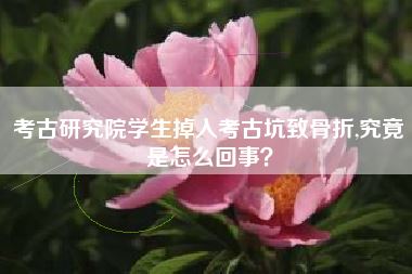 考古研究院学生掉入考古坑致骨折,究竟是怎么回事?