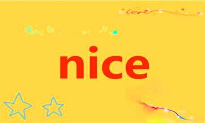 nice是什么意思
