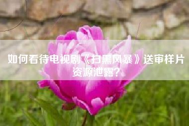 如何看待电视剧《扫黑风暴》送审样片资源泄露？