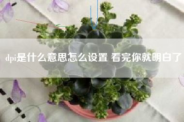 dpi是什么意思怎么设置 看完你就明白了