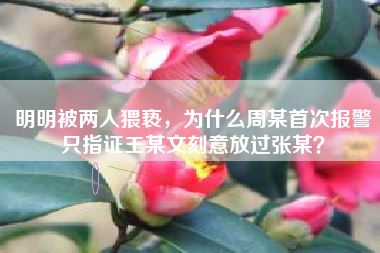 明明被两人猥亵,为什么周某首次报警只指证王某文刻意放过张某?