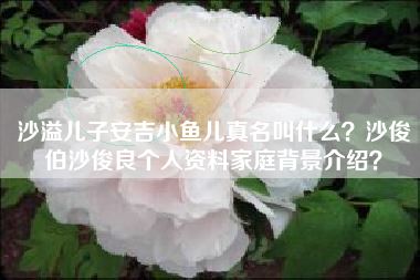 沙溢儿子安吉小鱼儿真名叫什么?沙俊伯沙俊良个人资料家庭背景介绍?