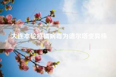 大连本轮疫情病毒为德尔塔变异株