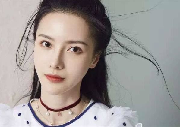 张芷溪演过的电视剧有哪些:张芷溪吴秀波是真的吗