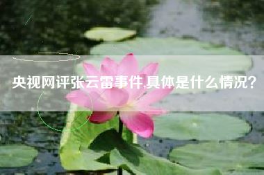 央视网评张云雷事件,具体是什么情况？
