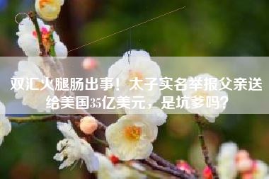 双汇火腿肠出事！太子实名举报父亲送给美国35亿美元，是坑爹吗？