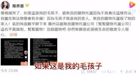 陈乔恩为金毛siri发声 到底发生了什么