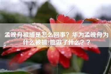 孟晚舟被捕是怎么回事?华为孟晚舟为什么被捕?她做了什么??