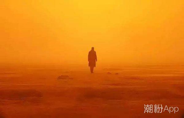 银翼杀手2049结局什么意思没看懂 剧情背景大解析