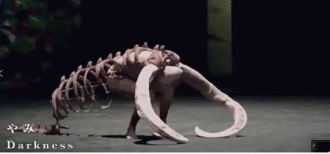 2021东京奥运会阴间开幕式总导演是谁,开幕式总导演前一天为什么被辞退