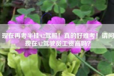 现在再考半挂A2驾照!真的好难考!请问现在A2驾驶员工资高吗?