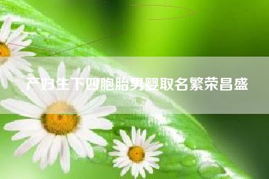 产妇生下四胞胎男婴取名繁荣昌盛
