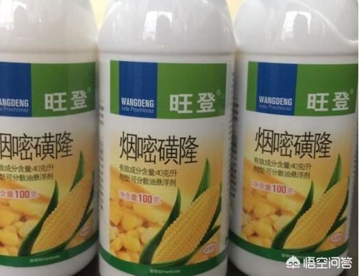 玉米苗后除草剂有哪些?常用的一般是哪几种?
