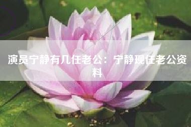演员宁静有几任老公:宁静现任老公资料