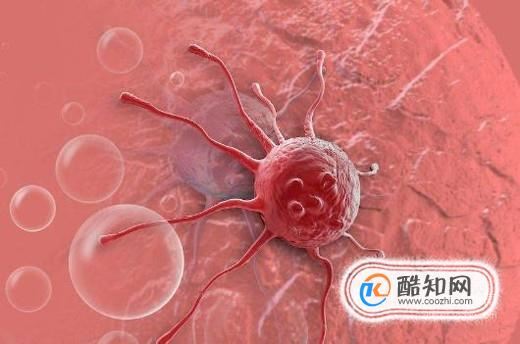 灵芝孢子粉有哪些功效？怎么服用效果好？