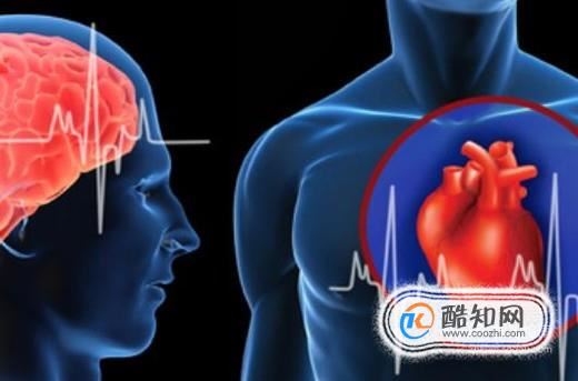 灵芝孢子粉有哪些功效？怎么服用效果好？