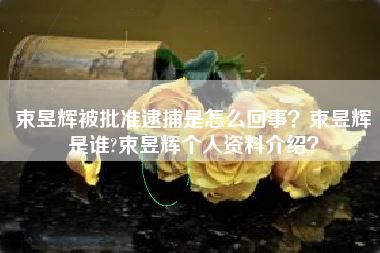 束昱辉被批准逮捕是怎么回事?束昱辉是谁?束昱辉个人资料介绍?