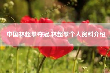 中国林超攀夺冠 林超攀个人资料介绍