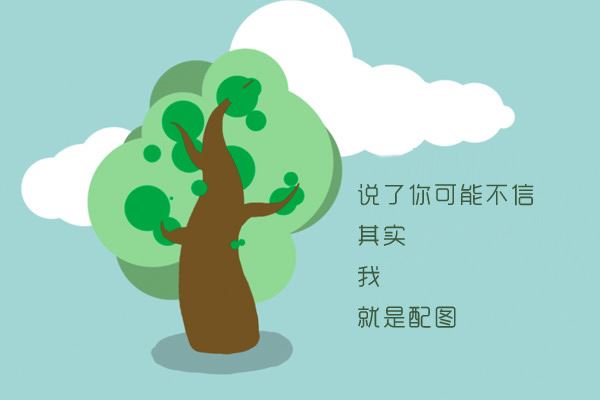 百鸟朝凤票房惨败给了美国队长3,影评:跪来的情怀不要也罢