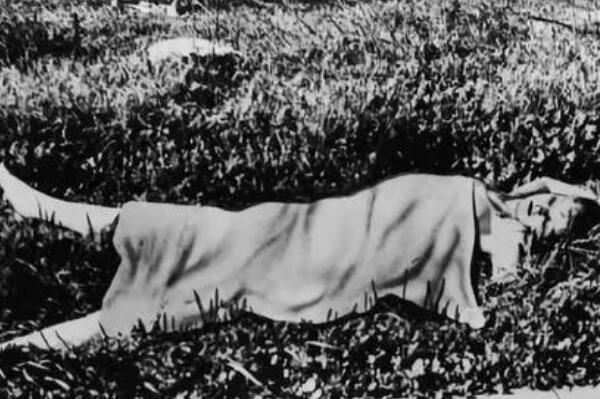 全球十大震惊世界惨案 HelloKitty藏尸案令人毛骨耸然