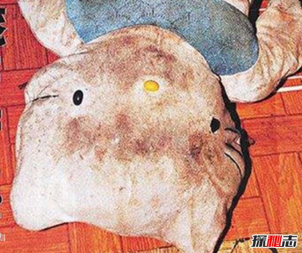 全球十大震惊世界惨案 HelloKitty藏尸案令人毛骨耸然