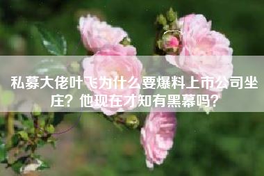 私募大佬叶飞为什么要爆料上市公司坐庄?他现在才知有黑幕吗?