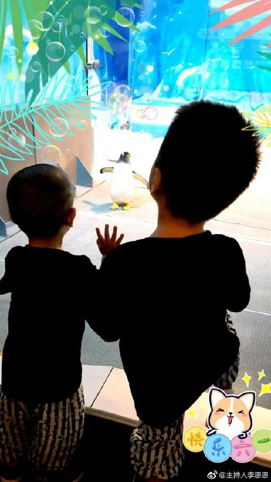 李思思罕见晒俩儿子同框照 李思思老公是谁?