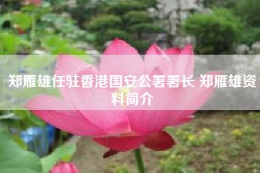 郑雁雄任驻香港国安公署署长 郑雁雄资料简介