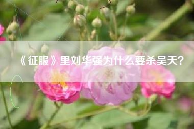 《征服》里刘华强为什么要杀吴天?