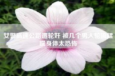 女警高速公路遭轮奸 被几个男人轮流蹂躏身体太恐怖