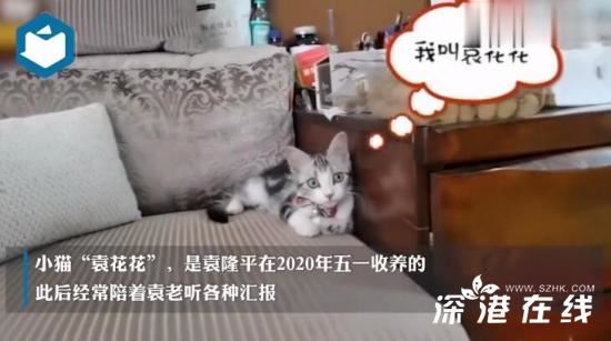 袁花花无法陪袁老听汇报了 袁花花是谁【图】