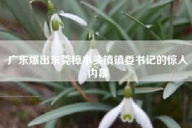 广东爆出东莞樟木头镇镇委书记的惊人内幕