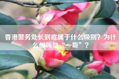 香港警务处长到底属于什么级别？为什么都叫他“一哥”？
