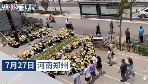 郑州地铁5号线周边菊花被买空 现场是什么样的？