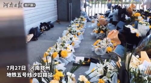 郑州地铁5号线周边菊花被买空 现场是什么样的？