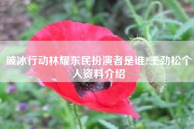 破冰行动林耀东民扮演者是谁?王劲松个人资料介绍