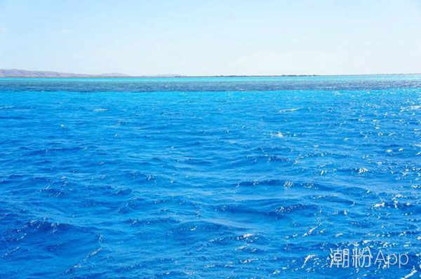 为什么要叫红海行动 揭秘整个案件的发生地