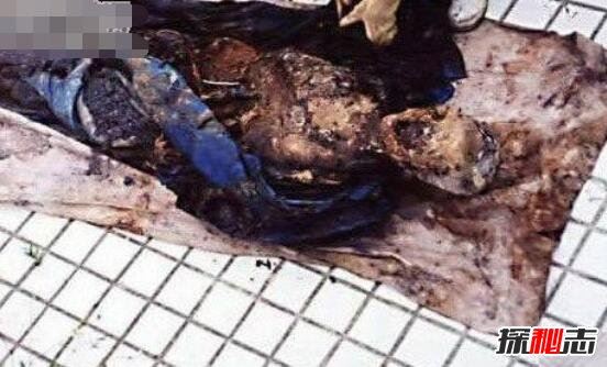 盘点网传5大僵尸事件 95年成都僵尸事件等(皆是谣传)