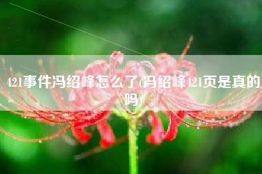 421事件冯绍峰怎么了(冯绍峰421页是真的吗)
